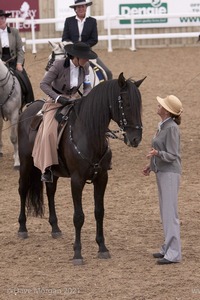 Lusitano Breed Society of Great Britain Show - Hartpury College - 27th June 2009